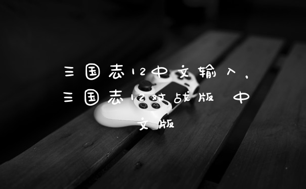 三国志12中文输入，三国志12对战版 中文版
