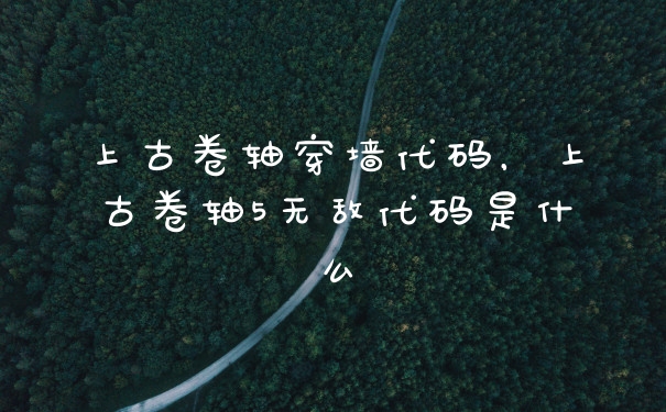上古卷轴穿墙代码，上古卷轴5无敌代码是什么