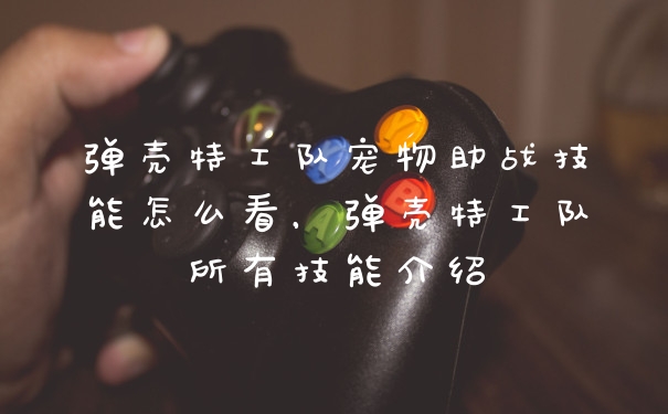弹壳特工队宠物助战技能怎么看，弹壳特工队所有技能介绍