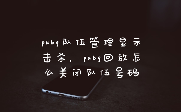 pubg队伍管理显示击杀，pubg回放怎么关闭队伍号码