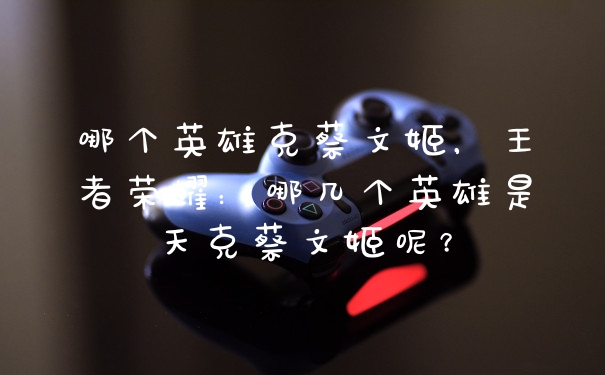 哪个英雄克蔡文姬，王者荣耀：哪几个英雄是天克蔡文姬呢？