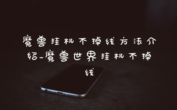 魔兽挂机不掉线方法介绍_魔兽世界挂机不掉线
