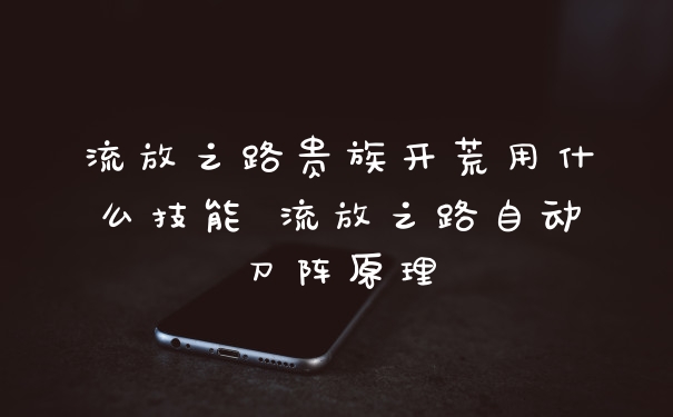 流放之路贵族开荒用什么技能 流放之路自动刀阵原理