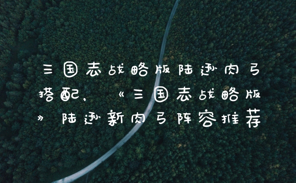 三国志战略版陆逊肉弓搭配，《三国志战略版》陆逊新肉弓阵容推荐