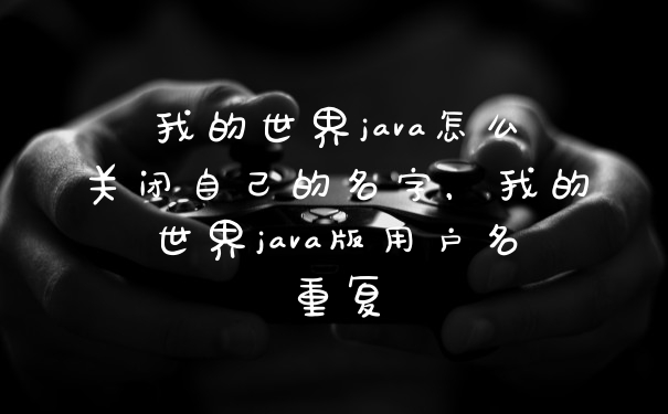 我的世界java怎么关闭自己的名字，我的世界java版用户名重复