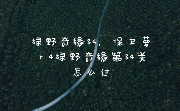 绿野奇缘34，保卫萝卜4绿野奇缘第34关怎么过