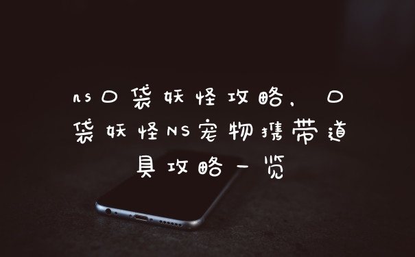 ns口袋妖怪攻略，口袋妖怪NS宠物携带道具攻略一览