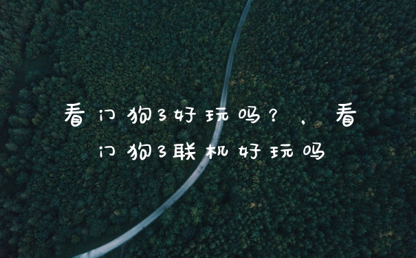 看门狗3好玩吗?,看门狗3联机好玩吗