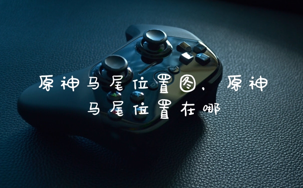 原神马尾位置图,原神马尾位置在哪