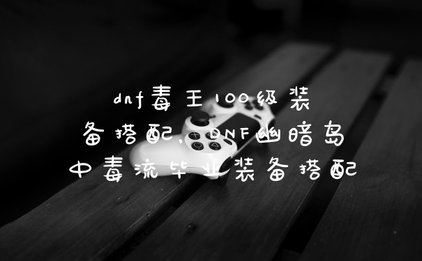 dnf毒王100级装备搭配，DNF幽暗岛中毒流毕业装备搭配
