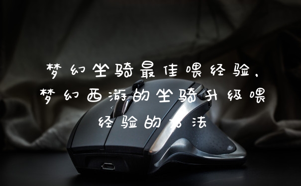 梦幻坐骑最佳喂经验，梦幻西游的坐骑升级喂经验的方法