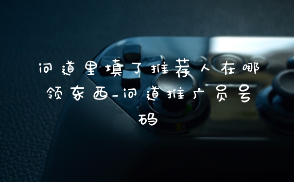 问道里填了推荐人在哪领东西_问道推广员号码