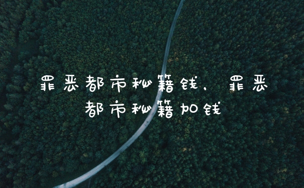 罪恶都市秘籍钱，罪恶都市秘籍加钱