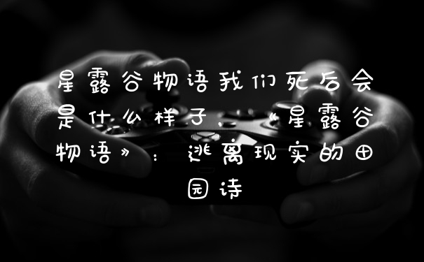 星露谷物语我们死后会是什么样子，《星露谷物语》：逃离现实的田园诗