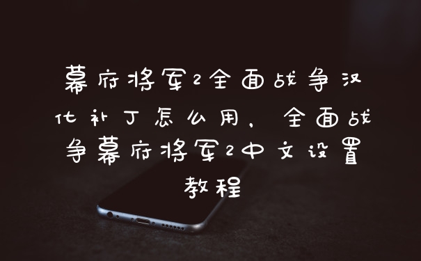幕府将军2全面战争汉化补丁怎么用，全面战争幕府将军2中文设置教程