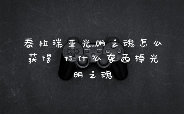 泰拉瑞亚光明之魂怎么获得 打什么东西掉光明之魂