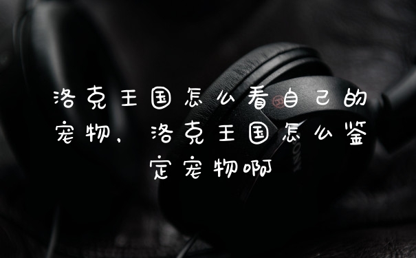 洛克王国怎么看自己的宠物，洛克王国怎么鉴定宠物啊