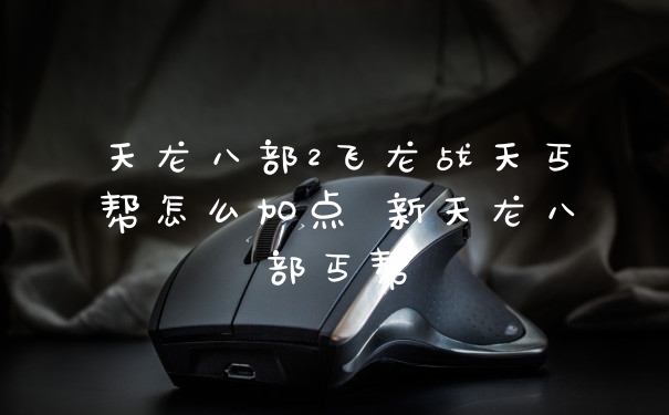 天龙八部2飞龙战天丐帮怎么加点 新天龙八部丐帮