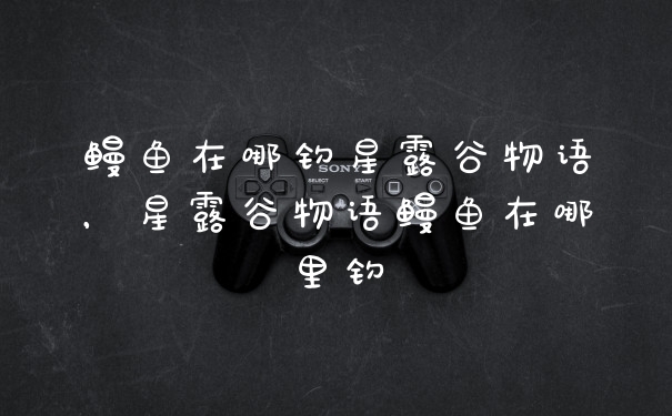 鳗鱼在哪钓星露谷物语，星露谷物语鳗鱼在哪里钓
