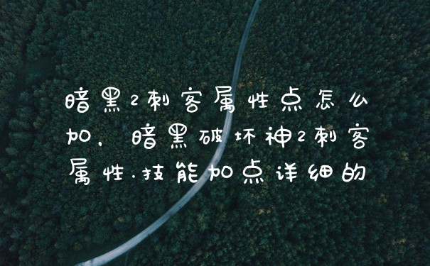 暗黑2刺客属性点怎么加,暗黑破坏神2刺客属性.技能加点详细的