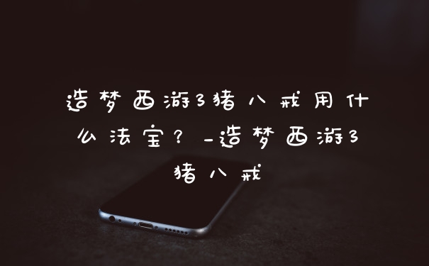 造梦西游3猪八戒用什么法宝？_造梦西游3猪八戒