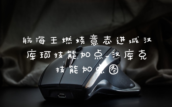 航海王燃烧意志进城汉库珂技能加点_汉库克技能加点图