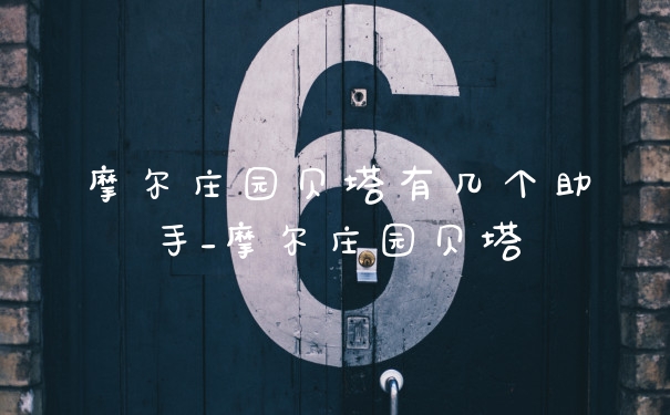 摩尔庄园贝塔有几个助手_摩尔庄园贝塔