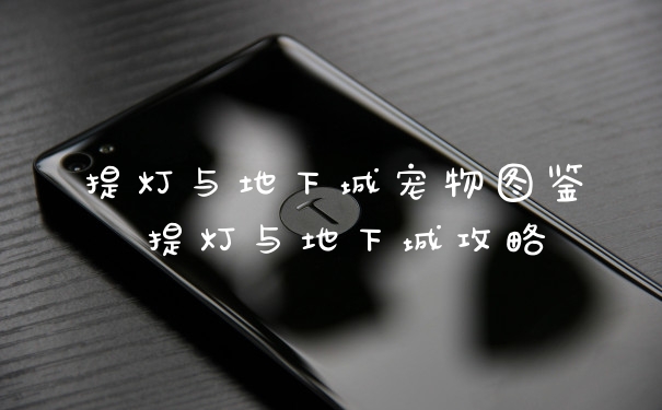 提灯与地下城宠物图鉴 提灯与地下城攻略