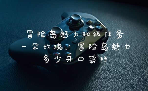 冒险岛魅力30级任务一朵玫瑰，冒险岛魅力多少开口袋栏