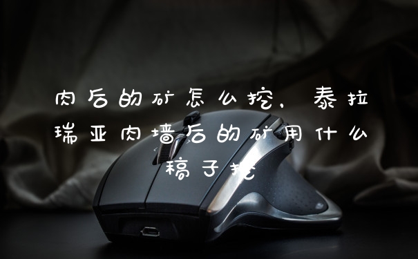 肉后的矿怎么挖，泰拉瑞亚肉墙后的矿用什么稿子挖
