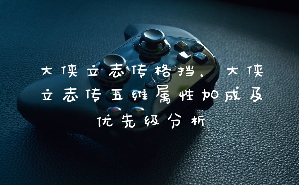 大侠立志传格挡，大侠立志传五维属性加成及优先级分析