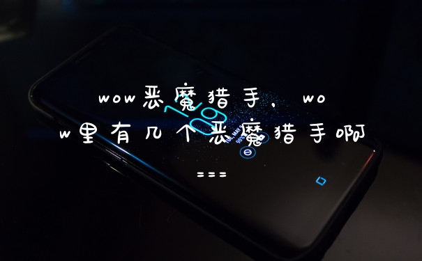 wow恶魔猎手，wow里有几个恶魔猎手啊===