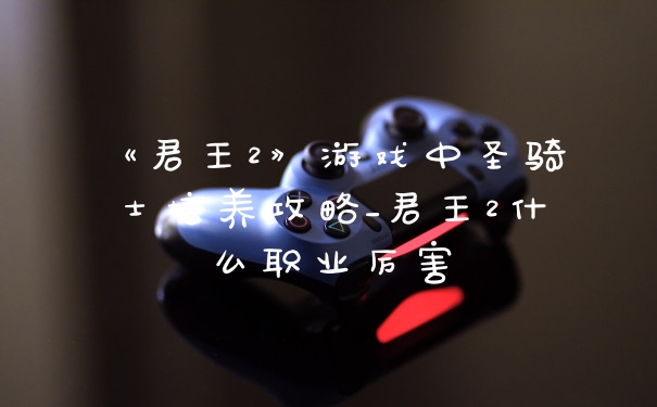 《君王2》游戏中圣骑士培养攻略_君王2什么职业厉害