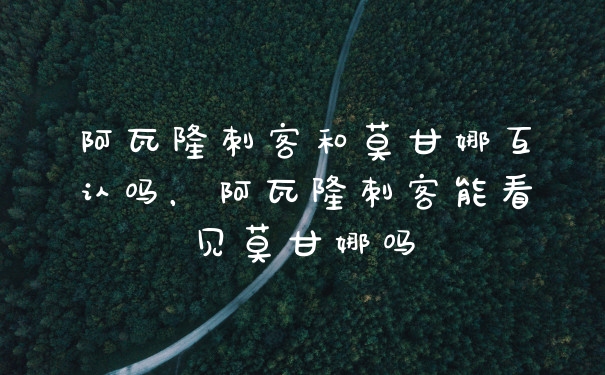 阿瓦隆刺客和莫甘娜互认吗，阿瓦隆刺客能看见莫甘娜吗