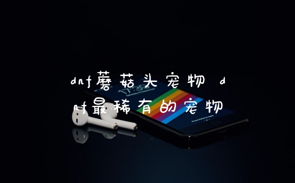 dnf蘑菇头宠物 dnf最稀有的宠物