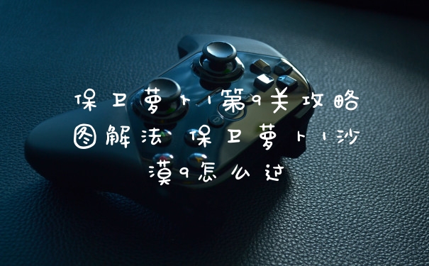 保卫萝卜1第9关攻略图解法 保卫萝卜1沙漠9怎么过