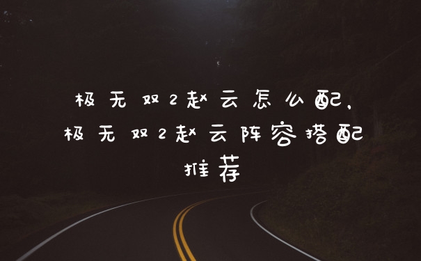 极无双2赵云怎么配，极无双2赵云阵容搭配推荐