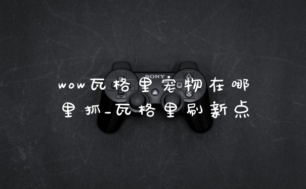 wow瓦格里宠物在哪里抓_瓦格里刷新点