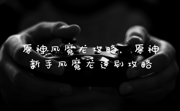 原神风魔龙攻略，原神新手风魔龙速刷攻略