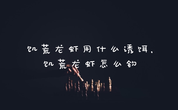 饥荒龙虾用什么诱饵，饥荒龙虾怎么钓