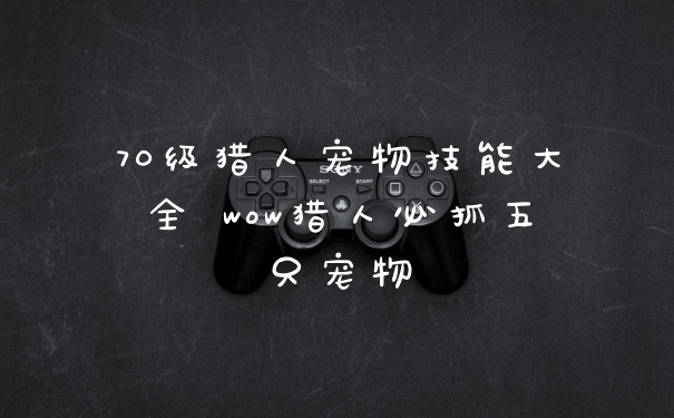 70级猎人宠物技能大全 wow猎人必抓五只宠物