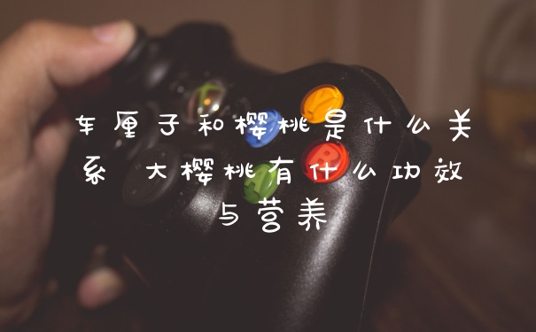 车厘子和樱桃是什么关系 大樱桃有什么功效与营养