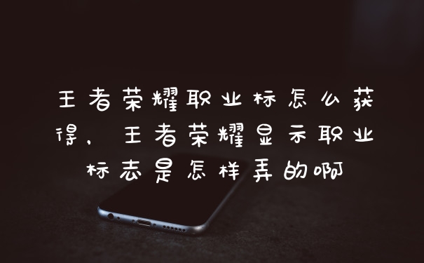 王者荣耀职业标怎么获得，王者荣耀显示职业标志是怎样弄的啊