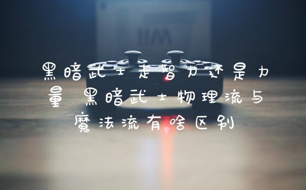 黑暗武士走智力还是力量 黑暗武士物理流与魔法流有啥区别