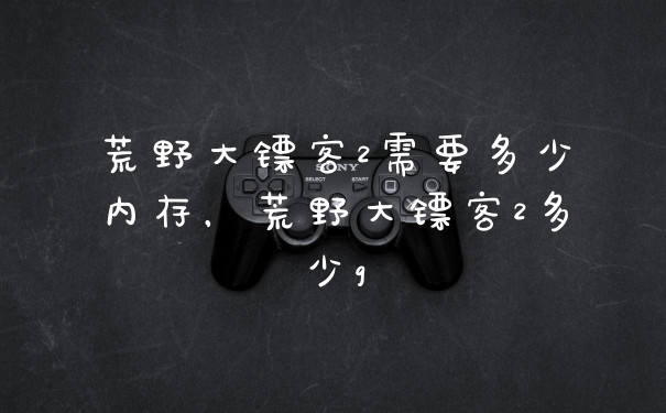 荒野大镖客2需要多少内存，荒野大镖客2多少g