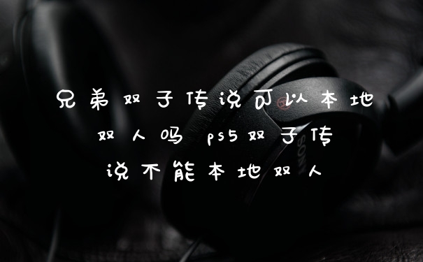 兄弟双子传说可以本地双人吗 ps5双子传说不能本地双人