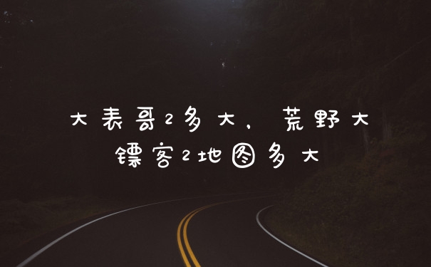 大表哥2多大，荒野大镖客2地图多大