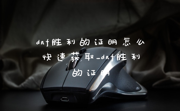 dnf胜利的证明怎么快速获取_dnf胜利的证明
