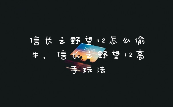 信长之野望12怎么偷牛,信长之野望12高手玩法