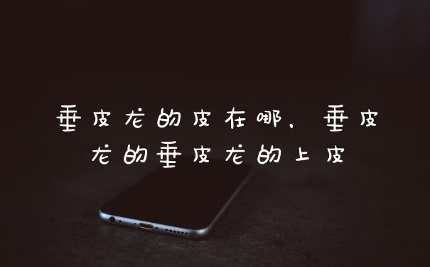 垂皮龙的皮在哪，垂皮龙的垂皮龙的上皮
